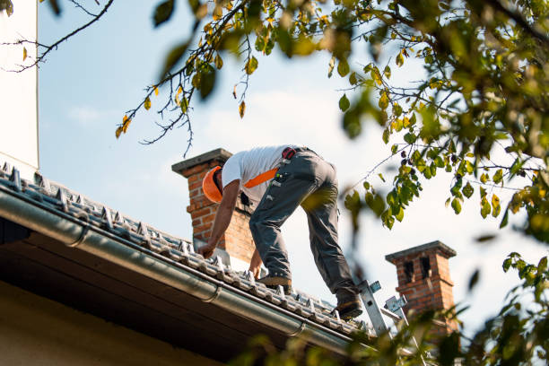 Best Metal Roofing Contractor  in Plain City, OH