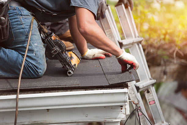 Best Roof Gutter Cleaning  in Plain City, OH