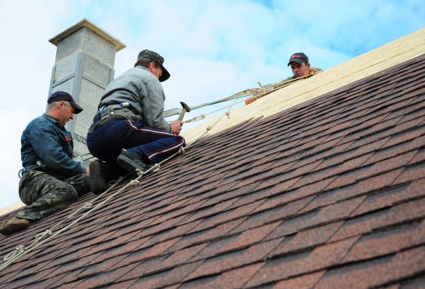 Quick and Trustworthy Emergency Roof Repair Services in Plain City, OH